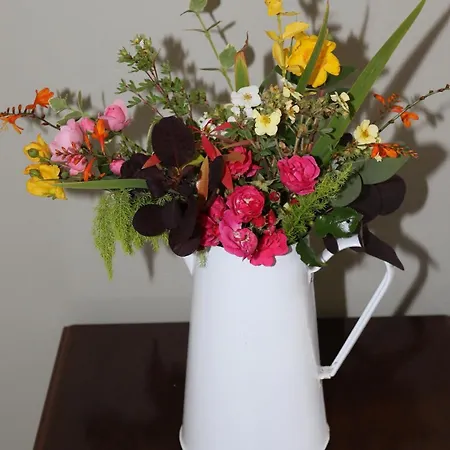 Coaches Corner - Accessible Guest Suite - 5 Minutes Drive From Town - Singles Or Super-King & Double Sofa Bed * Castleblayney