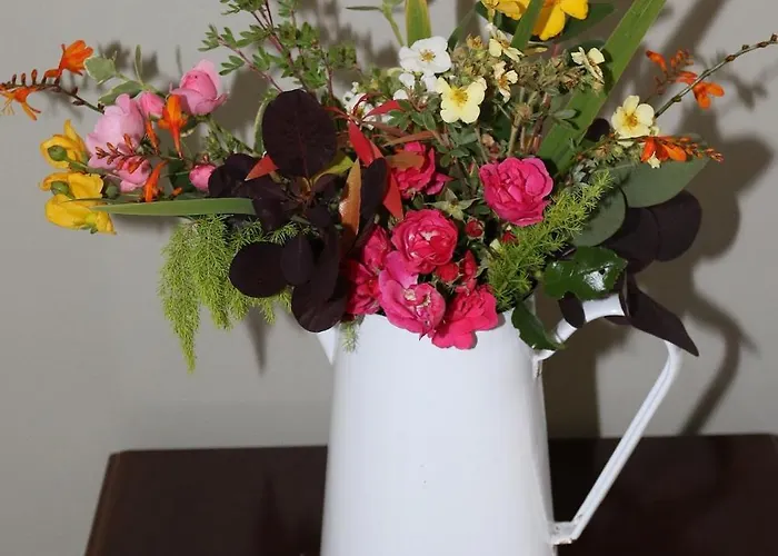 Coaches Corner - Accessible Guest - 5 Minutes Drive From Town - Singles Or Super-king & Double Sofa Bed * Castleblayney